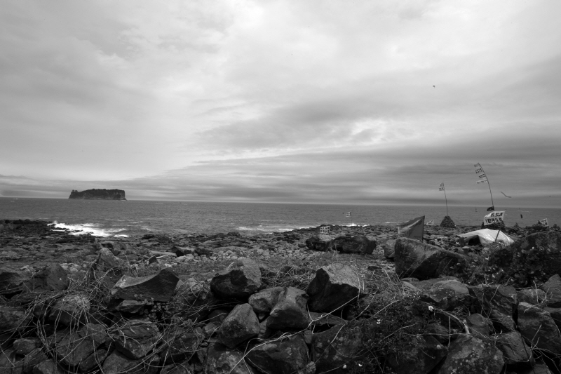 충무로 오!재미동 12월 정기 상영전